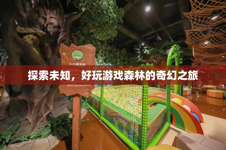 探索未知，好玩游戲森林的奇幻之旅