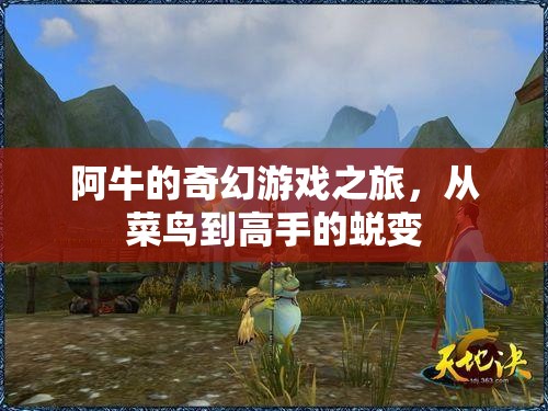 阿牛的奇幻游戲之旅，從菜鳥到高手的蛻變