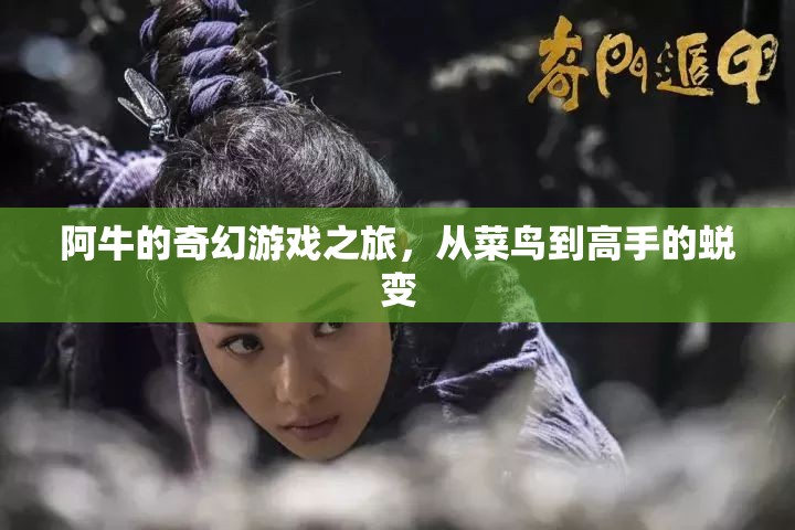 阿牛的奇幻游戲之旅，從菜鳥到高手的蛻變