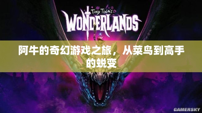 阿牛的奇幻游戲之旅，從菜鳥到高手的蛻變