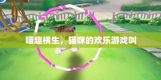 喵趣橫生，貓咪的歡樂游戲大賞