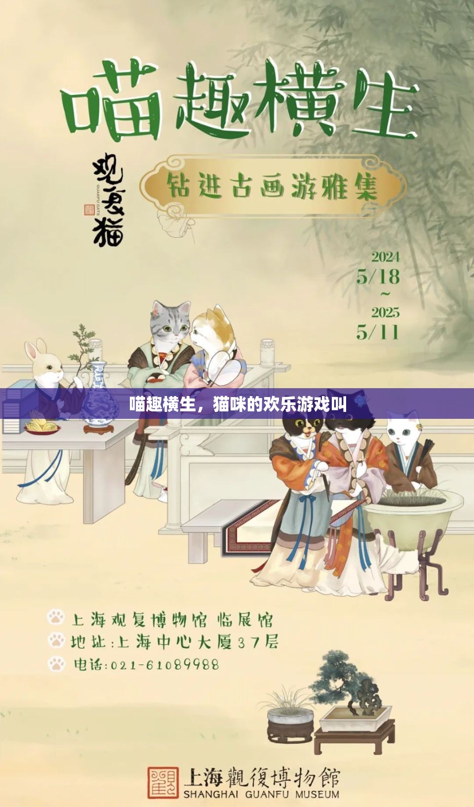 喵趣橫生，貓咪的歡樂游戲大賞
