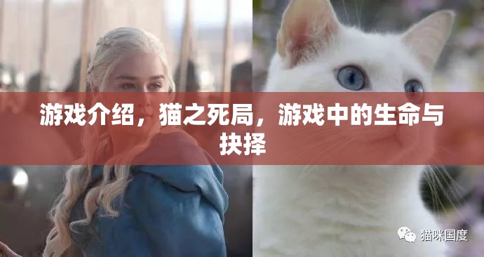 貓之死局，游戲中的生命與抉擇
