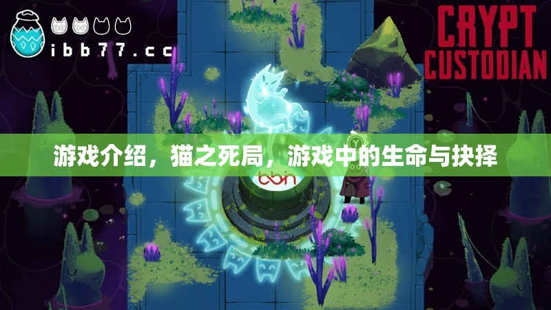 貓之死局，游戲中的生命與抉擇