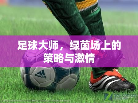 足球大師，綠茵場上的策略與激情
