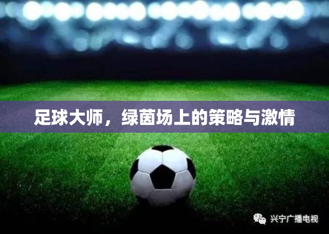 足球大師，綠茵場上的策略與激情
