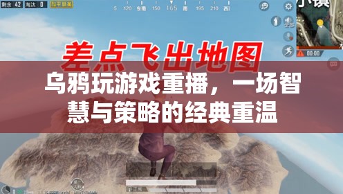 重播經(jīng)典，烏鴉的智慧與策略游戲