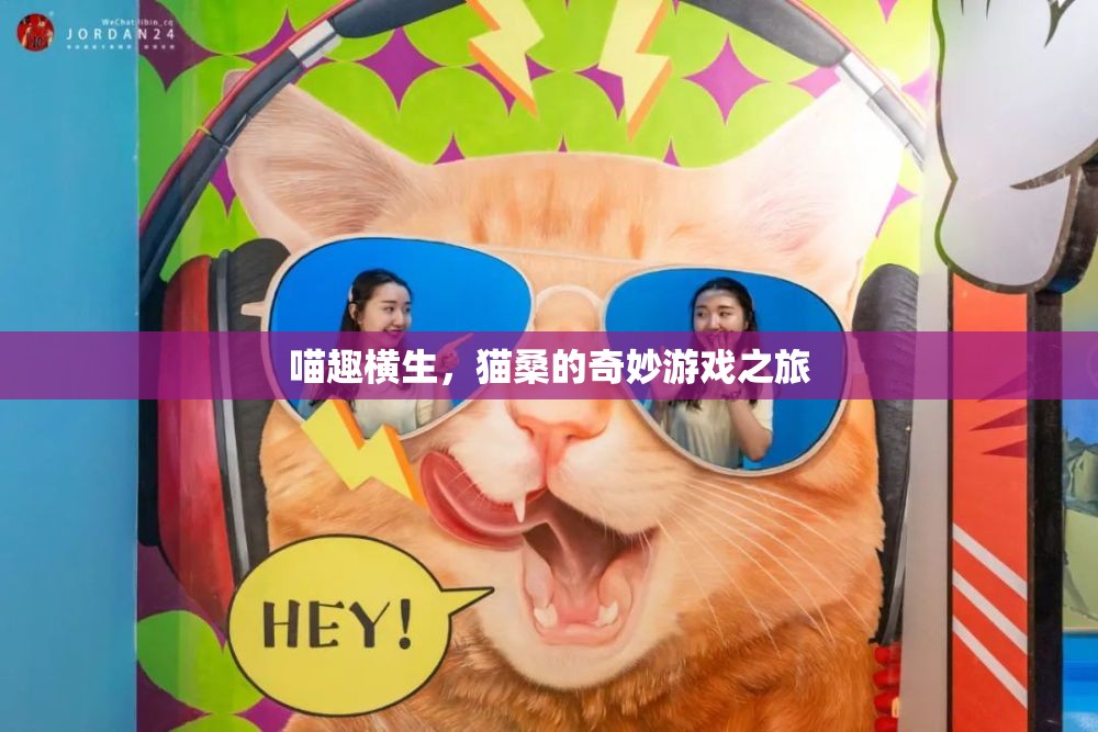 喵趣橫生，貓桑的奇妙游戲之旅