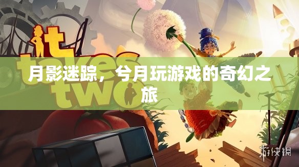 月影迷蹤，兮月的奇幻游戲之旅
