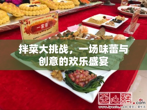 拌菜大挑戰(zhàn)，味蕾與創(chuàng)意的歡樂碰撞