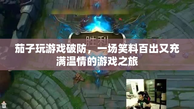 笑淚交織，茄子在游戲中破防的溫情之旅