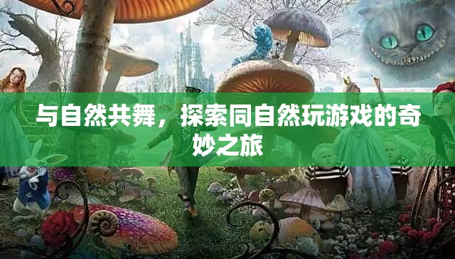 與自然共舞，探索同自然互動(dòng)的奇妙之旅