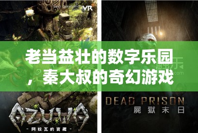 秦大叔的奇幻游戲之旅，老當(dāng)益壯的數(shù)字樂園  第1張