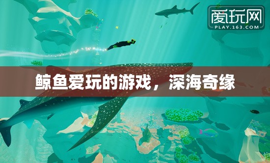 深海奇緣，鯨魚的夢幻游戲