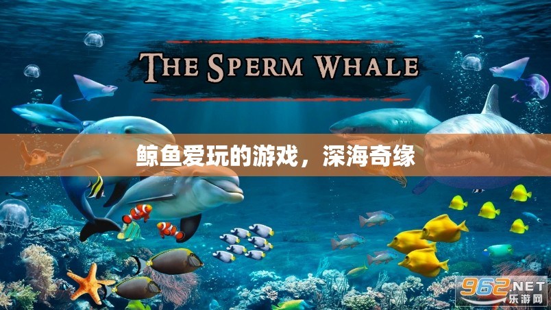 深海奇緣，鯨魚的夢幻游戲