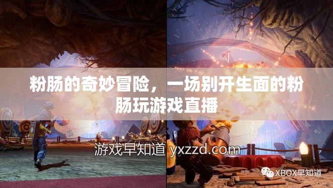 粉腸的奇幻游戲之旅，一場別開生面的直播冒險