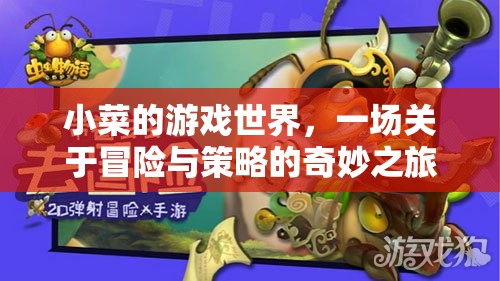 小菜的游戲世界，冒險與策略的奇妙之旅