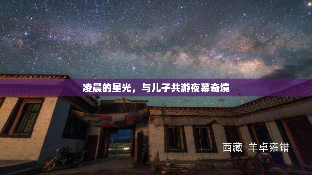 父子夜游奇境，共賞凌晨星光下的神秘之旅