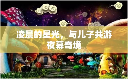 父子夜游奇境，共賞凌晨星光下的神秘之旅
