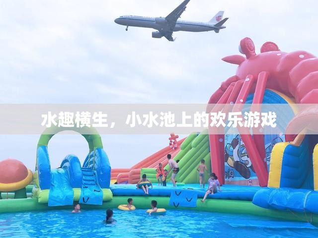 小水池上的歡樂游戲，水趣橫生的夏日時光