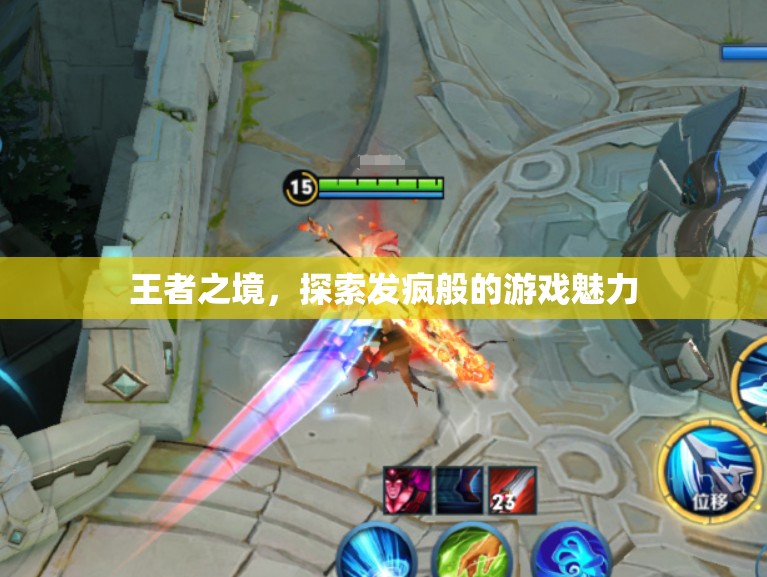 探索王者之境，發(fā)瘋般的游戲魅力
