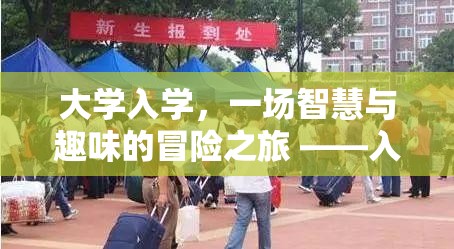 智慧與趣味的碰撞，大學(xué)入學(xué)奇境游戲之旅