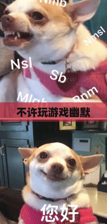 游戲禁令下的幽默自救，從‘不許玩游戲’到‘創(chuàng)意無限’的奇妙之旅