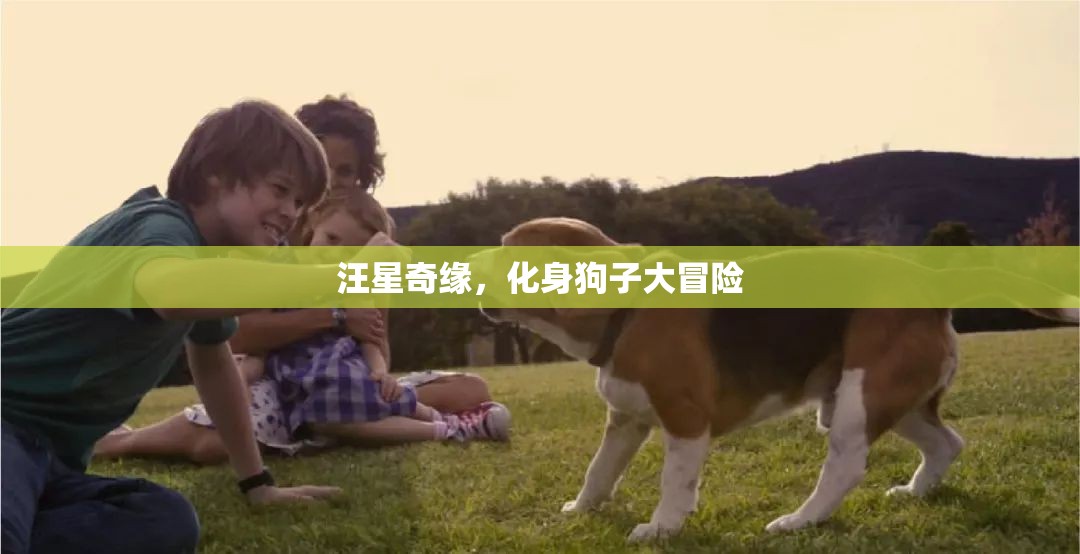 汪星奇緣，狗子大冒險