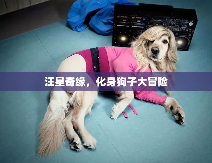 汪星奇緣，狗子大冒險
