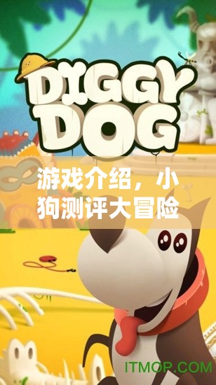 萌寵相伴，小狗測評大冒險的歡樂之旅