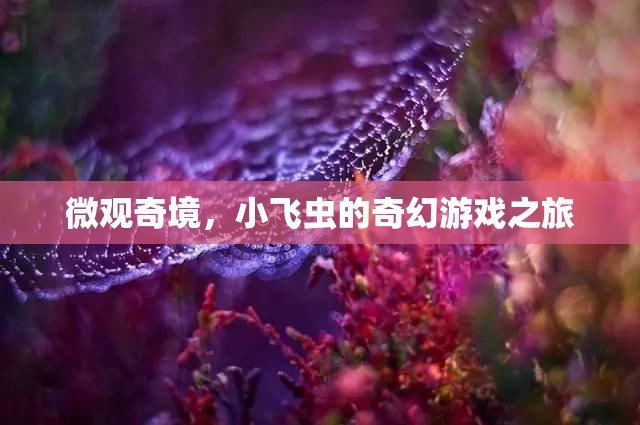 小飛蟲的微觀奇境，奇幻游戲之旅