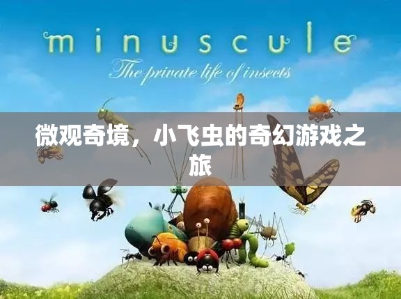 小飛蟲的微觀奇境，奇幻游戲之旅