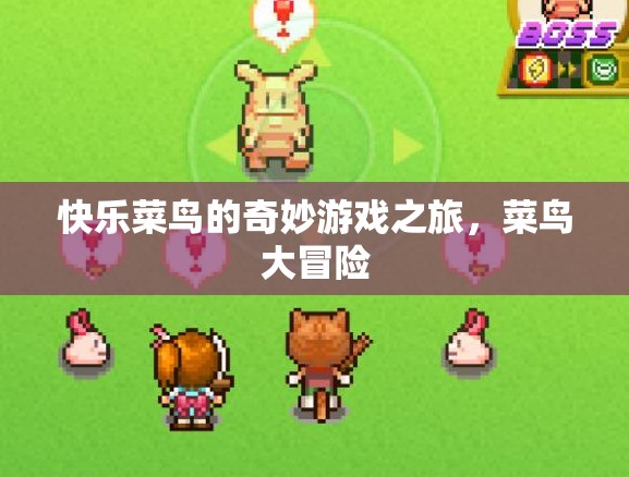 快樂菜鳥的奇妙游戲冒險(xiǎn)，菜鳥大冒險(xiǎn)