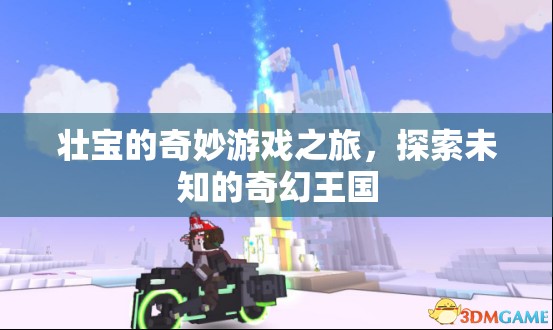 壯寶的奇幻王國冒險，一場未知的奇妙游戲之旅