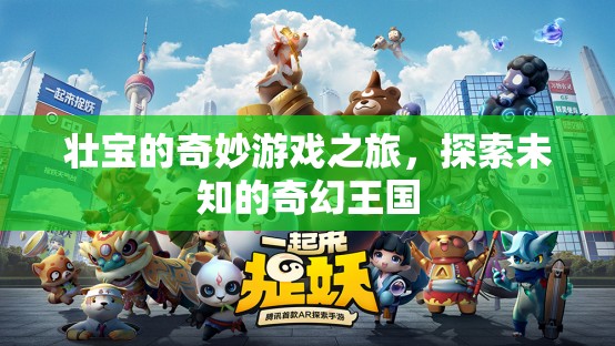 壯寶的奇幻王國冒險，一場未知的奇妙游戲之旅