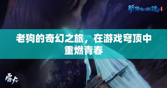 老狗的奇幻游戲穹頂之旅，重燃青春的冒險