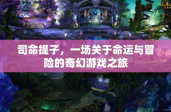 司命提子，命運(yùn)與冒險(xiǎn)的奇幻游戲之旅