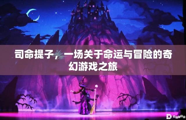 司命提子，命運(yùn)與冒險(xiǎn)的奇幻游戲之旅
