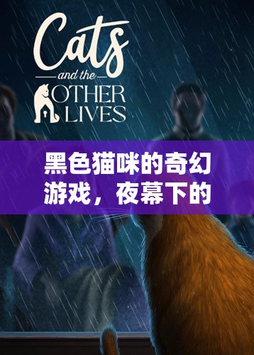 夜幕下的神秘冒險(xiǎn)，黑色貓咪的奇幻游戲