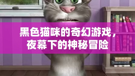 夜幕下的神秘冒險(xiǎn)，黑色貓咪的奇幻游戲