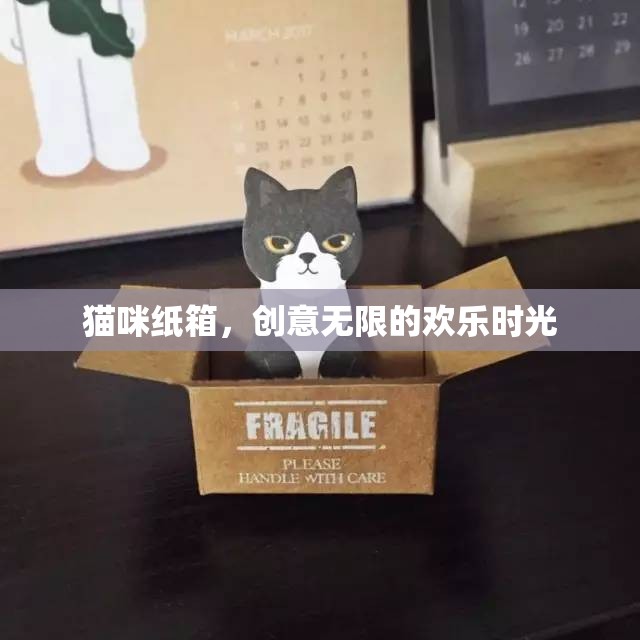 貓咪與紙箱，創(chuàng)意無限的歡樂時光