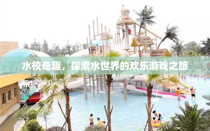 水校奇趣，探索水世界的歡樂游戲之旅