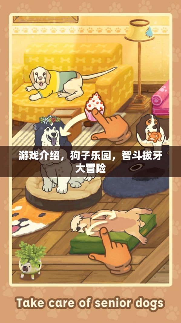 智斗拔牙大冒險，狗子樂園的歡樂挑戰(zhàn)