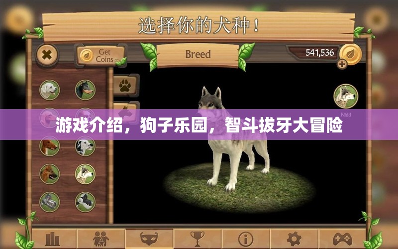 智斗拔牙大冒險，狗子樂園的歡樂挑戰(zhàn)