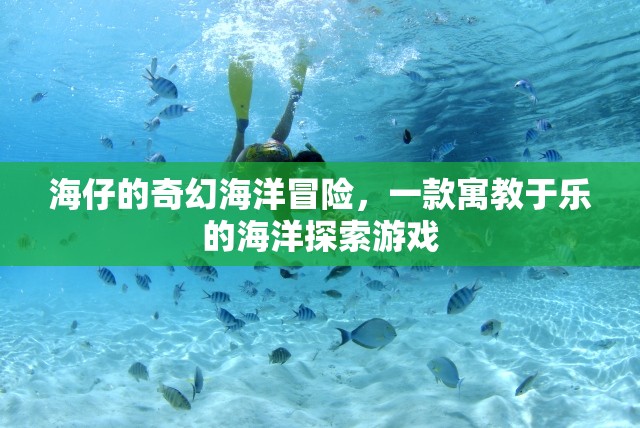 海仔的奇幻海洋冒險(xiǎn)，寓教于樂(lè)的海洋探索游戲