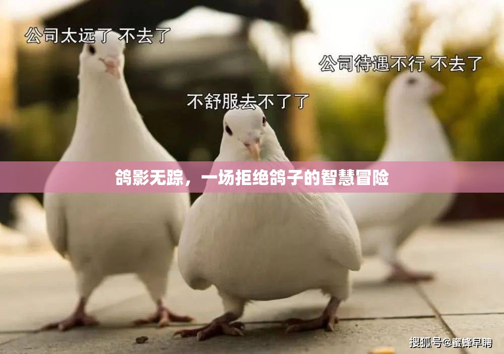 鴿影無蹤，一場拒絕鴿子的智慧冒險