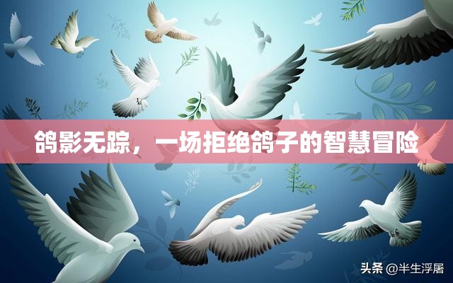 鴿影無蹤，一場拒絕鴿子的智慧冒險
