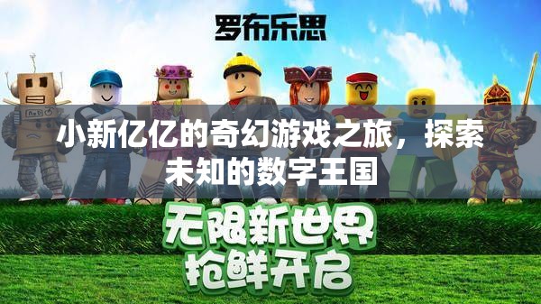小新億億的數(shù)字王國奇幻冒險