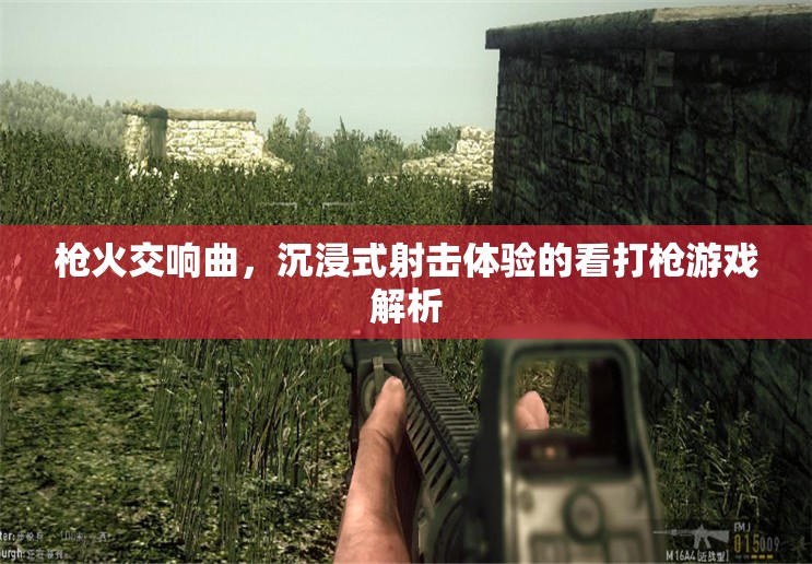 沉浸式射擊盛宴，解析槍火交響曲的看打槍游戲體驗(yàn)