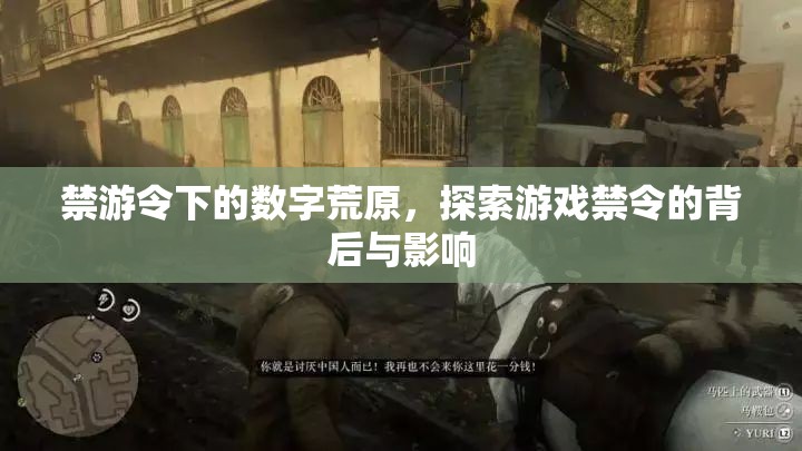 禁游令下的數(shù)字荒原，探索游戲禁令的背后與影響